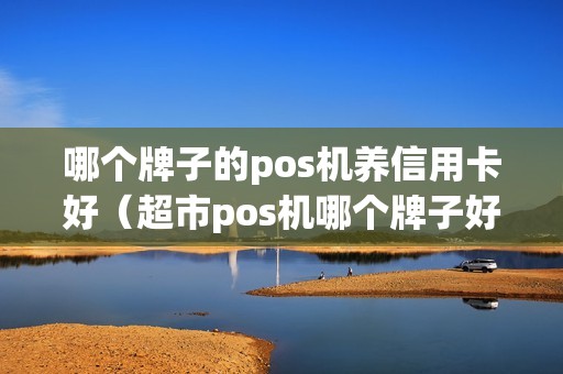 哪个牌子的pos机养信用卡好(超市pos机哪个牌子好)