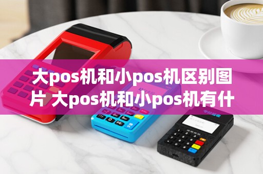 大pos机和小pos机区别图片 大pos机和小pos机有什么区别