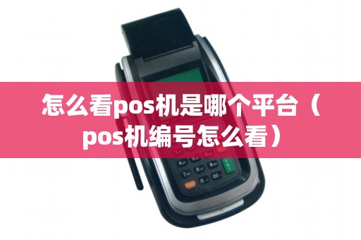 怎么看pos机是哪个平台(pos机编号怎么看)