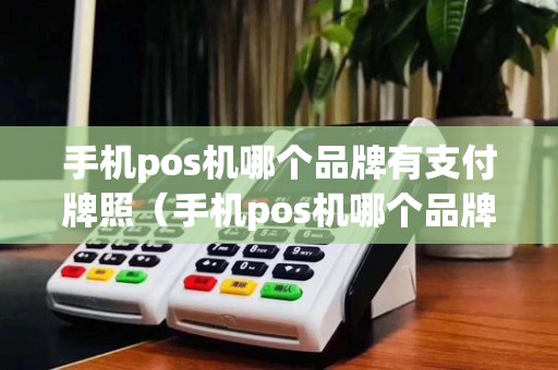 手机pos机哪个品牌有支付牌照（手机pos机哪个品牌好）