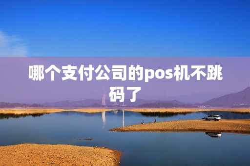哪个支付公司的pos机不跳码了