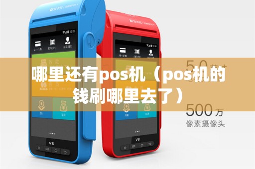 哪里还有pos机(pos机的钱刷哪里去了)