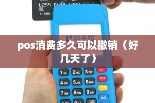 pos消费多久可以撤销（好几天了）