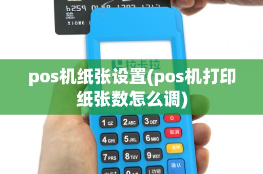 pos机纸张设置(pos机打印纸张数怎么调)