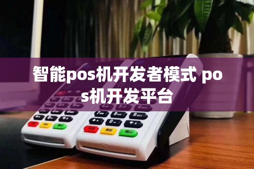 智能pos机开发者模式 pos机开发平台 智能pos机开发者模式 pos机开发平台