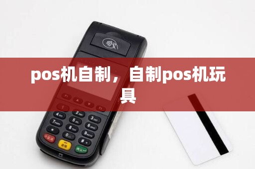 pos机自制,自制pos机玩具