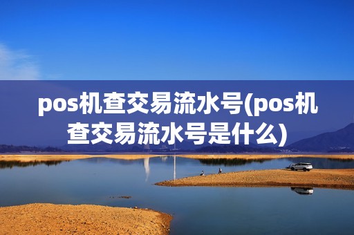 pos机查交易流水号(pos机查交易流水号是什么)