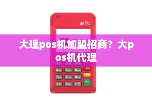 大理pos机加盟招商？大pos机代理