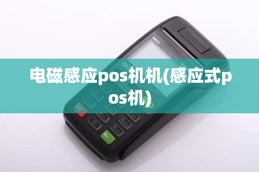 电磁感应pos机机(感应式pos机)