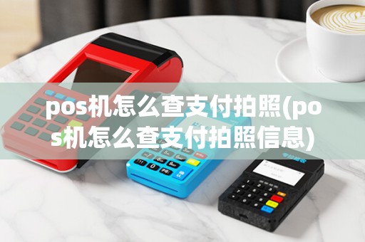 pos机怎么查支付拍照(pos机怎么查支付拍照信息)