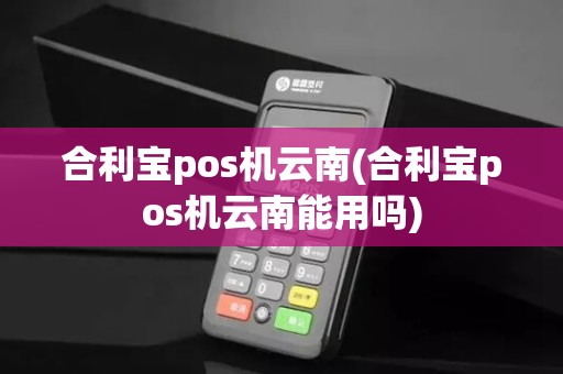 合利宝pos机云南(合利宝pos机云南能用吗)