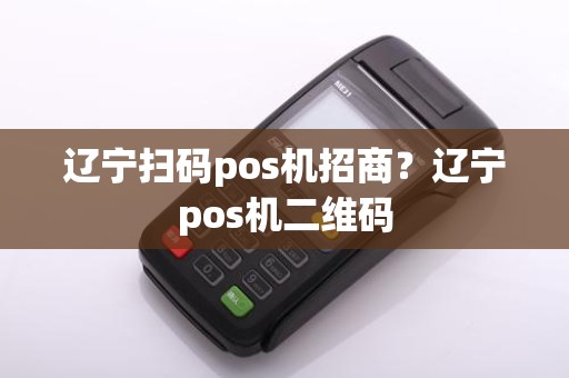 辽宁扫码pos机招商?辽宁pos机二维码