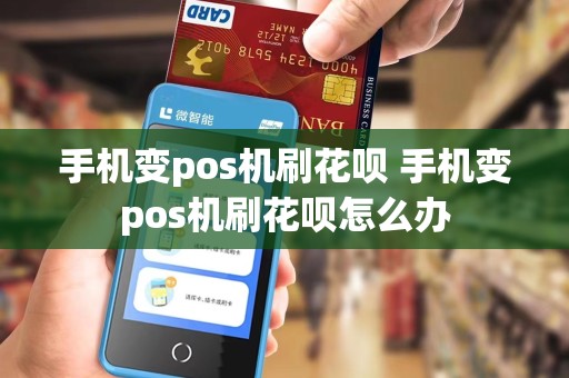 手机变pos机刷花呗 手机变pos机刷花呗怎么办