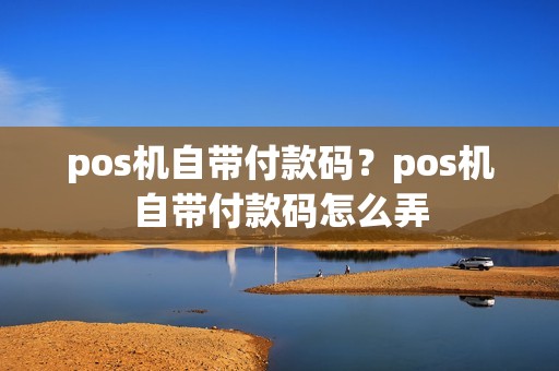 pos机自带付款码？pos机自带付款码怎么弄