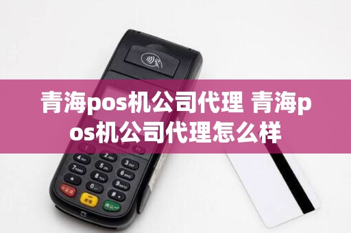 青海pos机公司代理 青海pos机公司代理怎么样