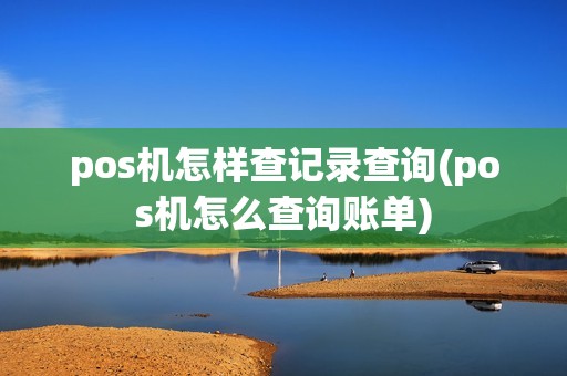 pos机怎样查记录查询(pos机怎么查询账单)
