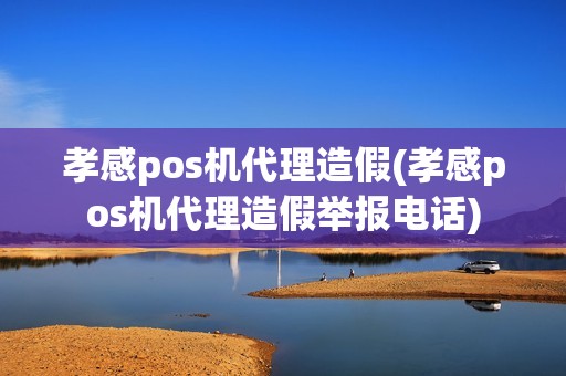 孝感pos机代理造假(孝感pos机代理造假举报电话)