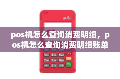 pos机怎么查询消费明细,pos机怎么查询消费明细账单