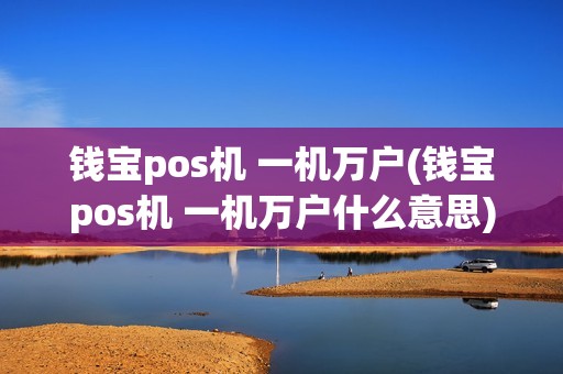 钱宝pos机 一机万户(钱宝pos机 一机万户什么意思)