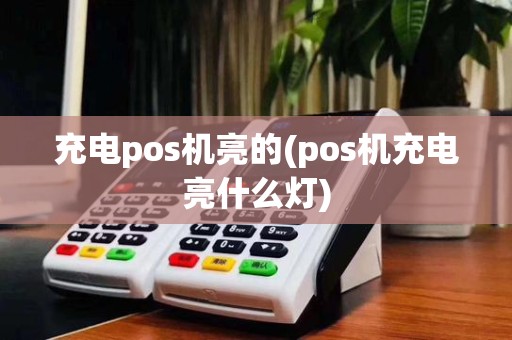 充电pos机亮的(pos机充电亮什么灯)