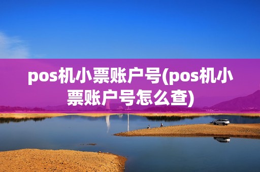 pos机小票账户号(pos机小票账户号怎么查)