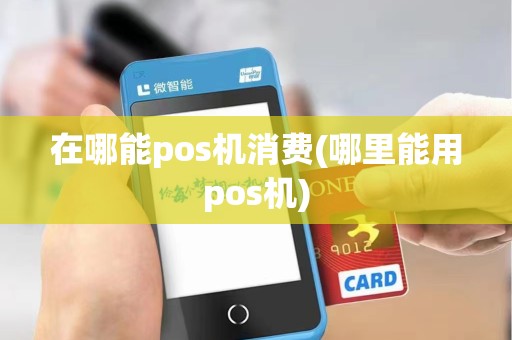 在哪能pos机消费(哪里能用pos机)