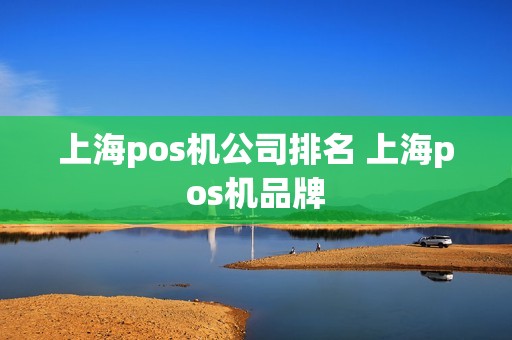 上海pos机公司排名 上海pos机品牌