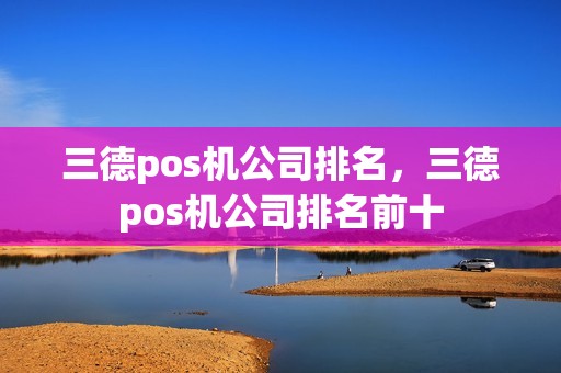 三德pos机公司排名，三德pos机公司排名前十