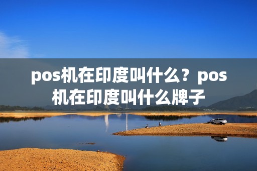pos机在印度叫什么？pos机在印度叫什么牌子