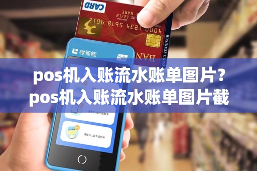 pos机入账流水账单图片?pos机入账流水账单图片截图