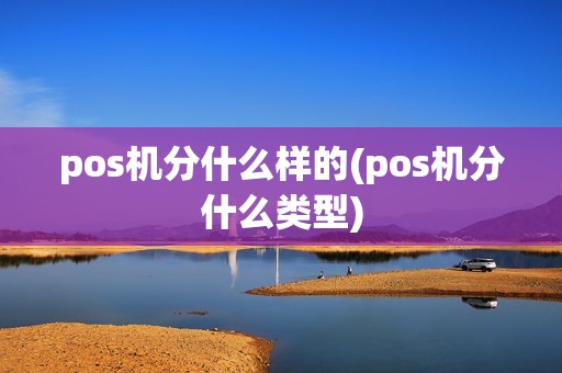 pos机分什么样的(pos机分什么类型)