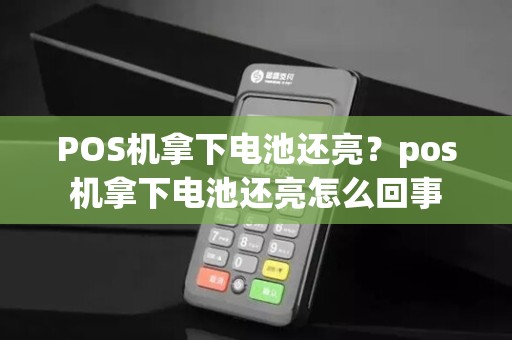 POS机拿下电池还亮？pos机拿下电池还亮怎么回事