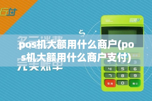 pos机大额用什么商户(pos机大额用什么商户支付)