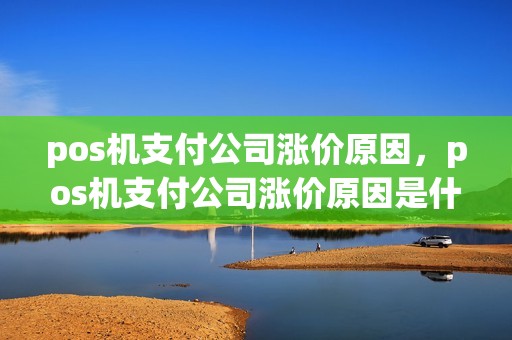 pos机支付公司涨价原因,pos机支付公司涨价原因是什么