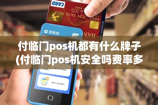 付临门pos机都有什么牌子(付临门pos机安全吗费率多少)