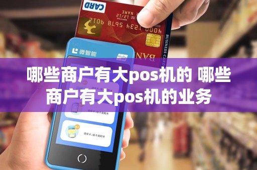 哪些商户有大pos机的 哪些商户有大pos机的业务