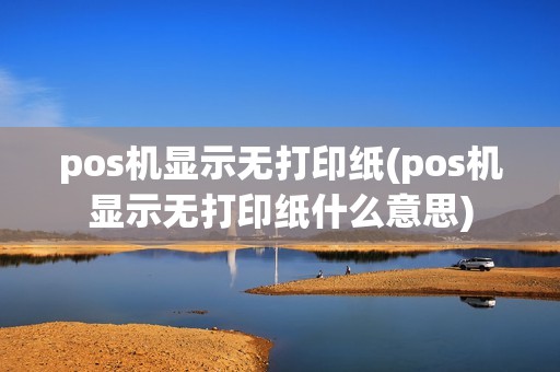 pos机显示无打印纸(pos机显示无打印纸什么意思)