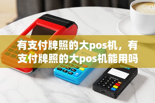 有支付牌照的大pos机,有支付牌照的大pos机能用吗