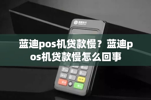 蓝迪pos机贷款慢?蓝迪pos机贷款慢怎么回事