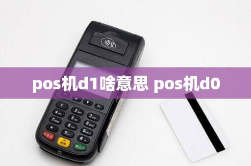 pos机d1啥意思 pos机d0