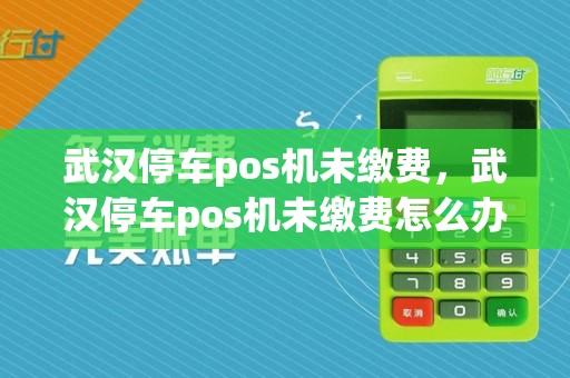 武汉停车pos机未缴费,武汉停车pos机未缴费怎么办