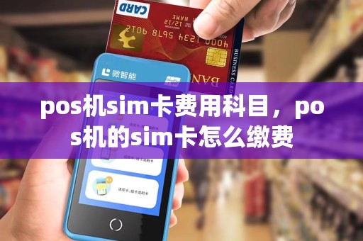 pos机sim卡费用科目，pos机的sim卡怎么缴费