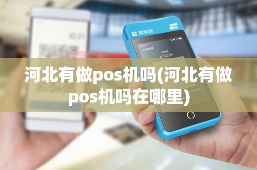 河北有做pos机吗(河北有做pos机吗在哪里)