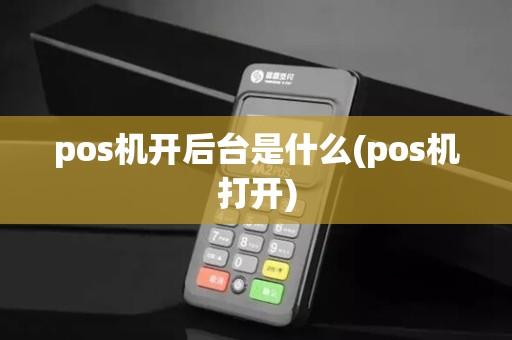 pos机开后台是什么(pos机打开)