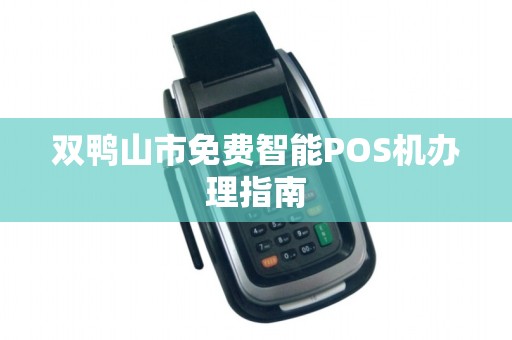 双鸭山市免费智能POS机办理指南