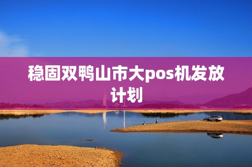 稳固双鸭山市大pos机发放计划