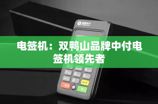电签机:双鸭山品牌中付电签机领先者