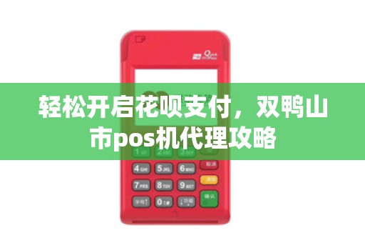 轻松开启花呗支付，双鸭山市pos机代理攻略