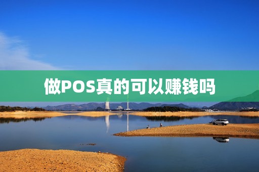 做POS真的可以赚钱吗