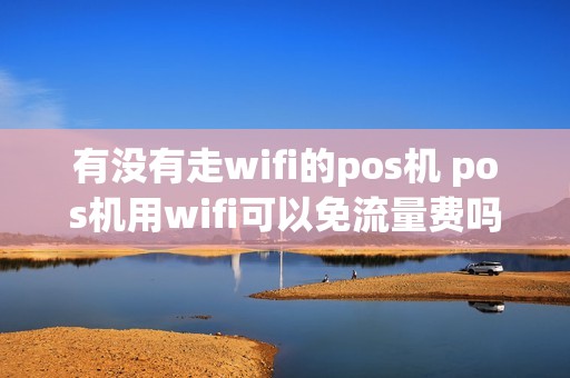 有没有走wifi的pos机 pos机用wifi可以免流量费吗